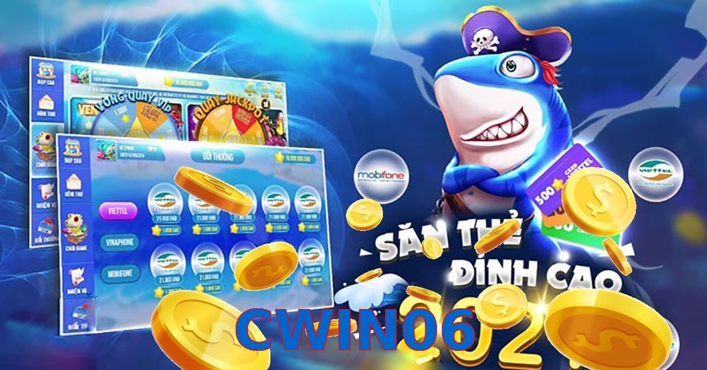 CWIN06