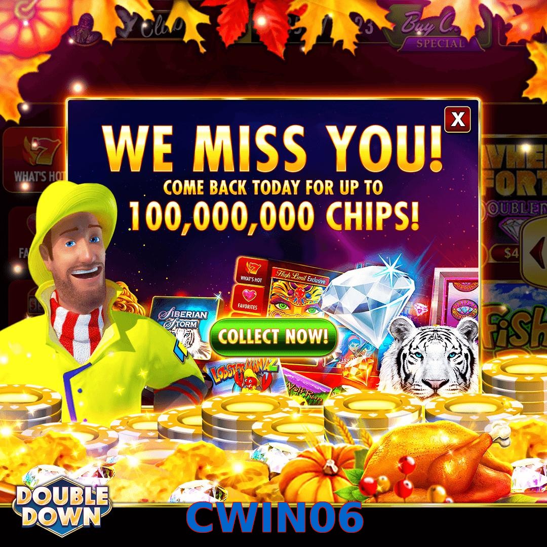 CWIN06