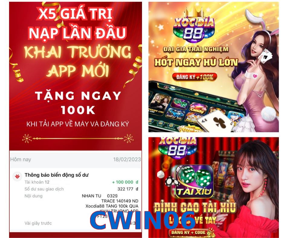 CWIN06